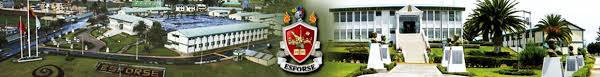 ESFORSE